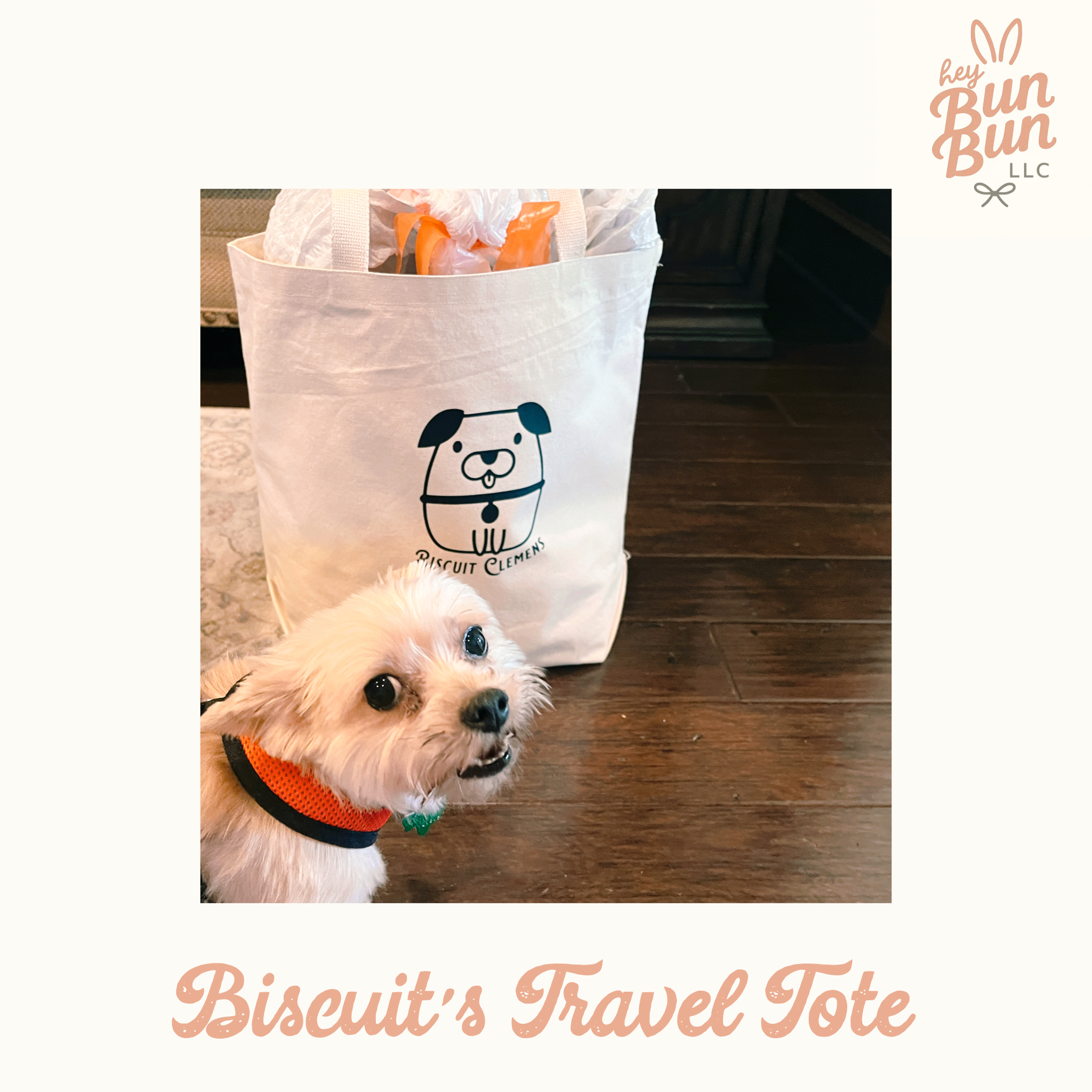 Personalized Pet Travel Tote – Custom Name & Pet Design